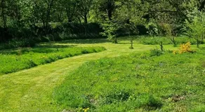 Delightful Shepherd's Hut set in peaceful meadow - Image 3