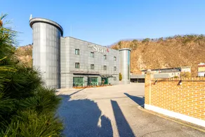 The Stay Hotel - Image 4