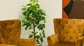 ZAHIR RESIDENCY - Image 5
