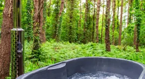 Burrenmore Nest - Luxury Forest Lodges with Hot Tubs & Sauna - Image 4