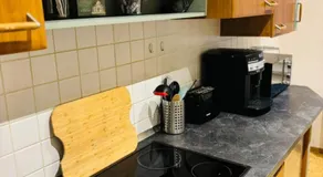moderne Ferienwohnung am Stadtwald von Plauen - Image 2
