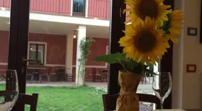 Agriturismo La Vita è Bella - Image 3