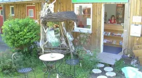 Holiday Home in Zandt mit Grill- Garten und Terrasse by Interhome - Image 5