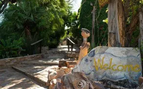 Toko-Eco-Lodge, Kamanjab - Image 4