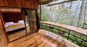 Sweet Jungle - Image 4