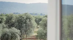 La finestra sugli ulivi - Image 5