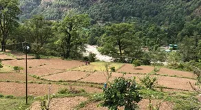 Mishra Ji Homestay and Restaurant - Image 5