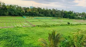 Paddy Field Home - Malabe - Image 3
