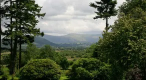Carrigbaun - Image 5
