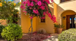 2 bedroom Apartment Asulon with communal pools, Aphrodite Hills Resort - Image 5