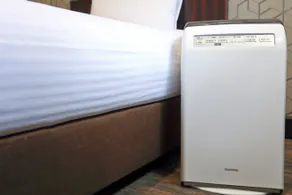 Kanoya Grand Hotel - Image 2