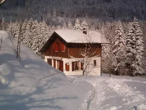 Chalet à Ventron proche du télésiège - Image 1
