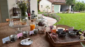 Il Glicine - Natural BnB - Image 5