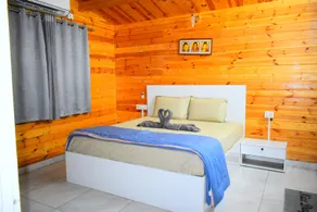 Kuku farm stay 3 bedroom wooden cottage with private pool at Moinabad - Image 2