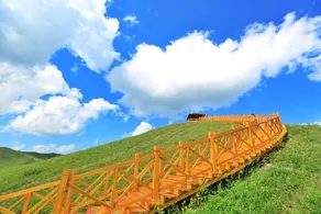 Colorful Forest Vacation Hotel - Image 4