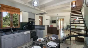 Villa Alex with private pool and jacuzzi - Image 3