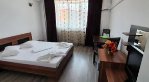 Steluta - Image 2