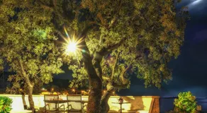 Villa Marin - Image 5