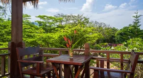 Palm Leaf Resort Koh Tao - Image 5