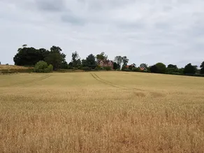 Earsham Park Farm - Image 3