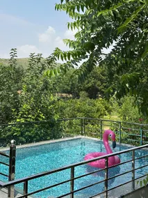 Farmstay In Aravalli | 2.5 Hours From Delhi - Image 5