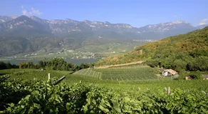 BNB Garni Kreithof - Image 5