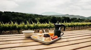 Domaine Bernard - Parcel Tiny House - Tiny House au coeur des vignes face au Mont Ventoux MAE-5213 - Image 4