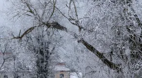 Šlokenbekas Muiža - Image 5