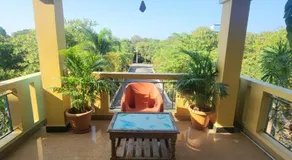 Paradise Forest Resort - Image 4