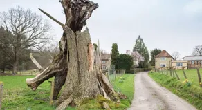 Ockhams Farm Guest House - Image 5
