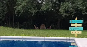 Los Teros - Image 4