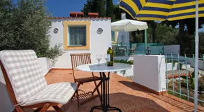 Pelagos - Image 5