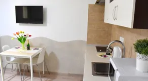 Prague City Centre Apartment - Image 4