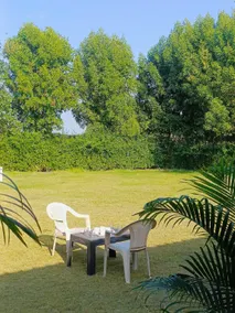 1 Room and garden peace of the jawai jungle - Image 4