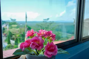 LABIS SUNRISE FARM STAY - Image 4