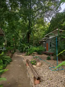 Phawaeng Resort พะแวงรีสอร์ท - Image 3