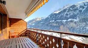 Oree du bois 15, terrasse & magical view - Image 3