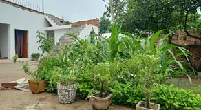 Khajuraho Rancho - Image 5