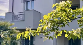 My villa in the pinewood - Image 4