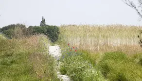 Liroja's Vakantiehuis - Image 5