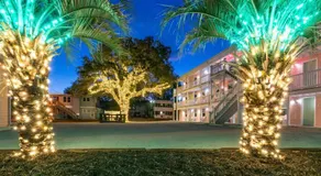 TreeHouse Lodge Walk to Beach Pet-Friendly 203 - Image 3