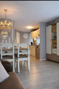 Luxury Chalet with beautiful terrace on the Veluwe - Image 4