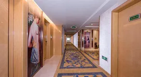 Vienna (Hunan Zhuzhou Chaling County) - Image 5