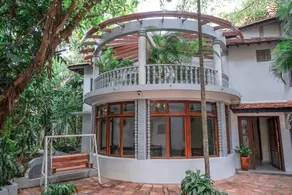 Jungle Addition - Image 4