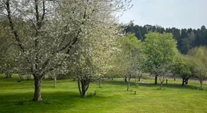The Acorn Hideaway - Image 5
