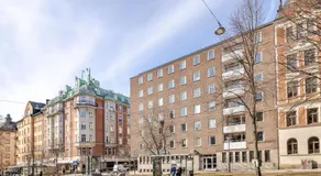 Stockholm like a local - Image 5