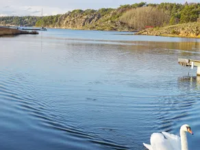 5 person holiday home in STRÖMSTAD - Image 2