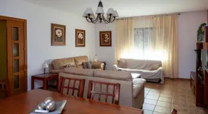 Los olivares de Rober - Image 2