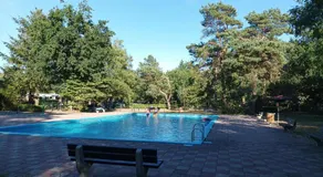 Bosbungalow de Eekhoorn - Image 2