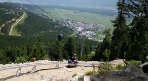 Cathy - Image 5